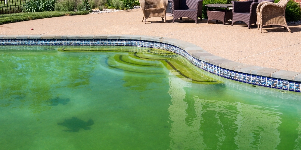 Por qué el agua de tu alberca se pone verde?